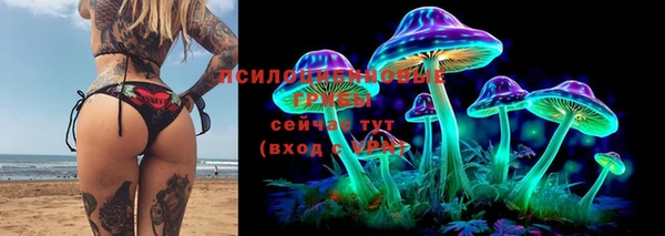 сатива Алексеевка