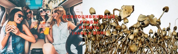 СК Корсаков