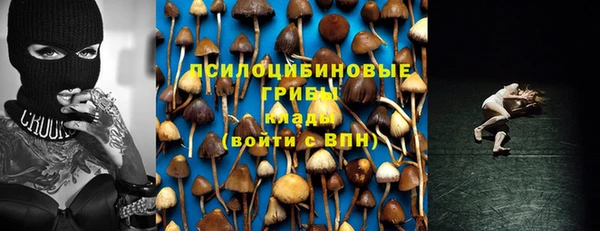 сатива Алексеевка