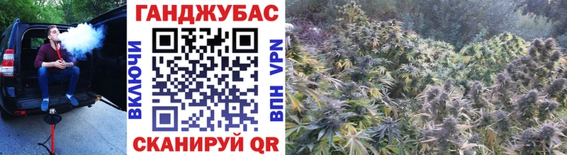 Бошки Шишки семена  hydra как войти  Осташков 